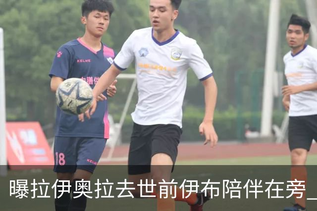 曝拉伊奥拉去世前伊布陪伴在旁 两人合作多年
